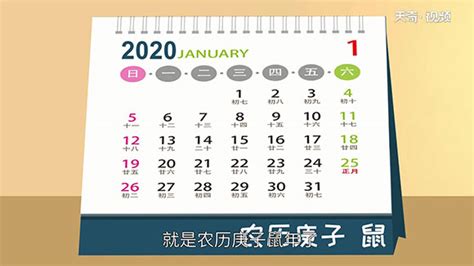 家庭成員介紹 明年是什么年2024